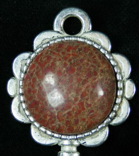 Beautiful Colorado Agatized Dinosaur Bone Pendant #14891